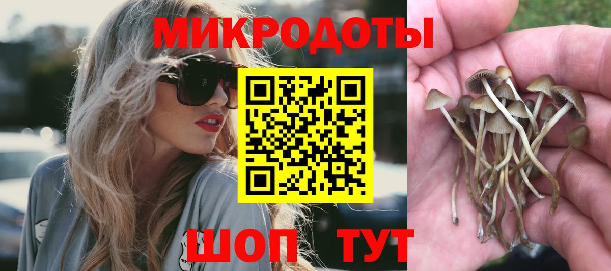 Урай  Галлюциногенные грибы Psilocybe  Вход с VPN 